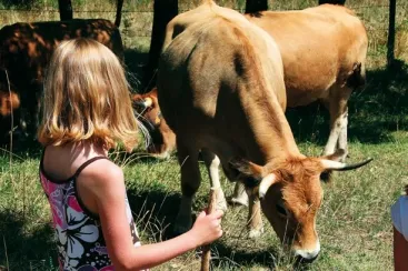 Camping - Espalion - Midi-Pyrénées - Village Vacances Aux Portes des Monts d’Aubrac