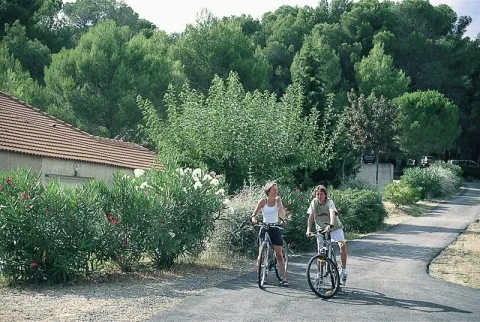 Camping - Montagnac - Languedoc-Roussillon - Village Vacances Les Vignes