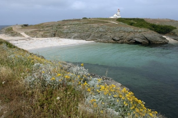 Camping - Le Palais - Bretagne - Village Vacances Port Collen - Image #6