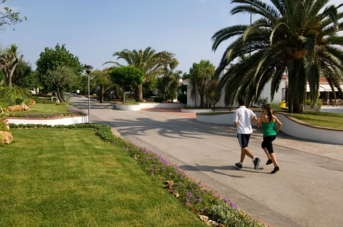 Camping - Ascea - Campanie - Villaggio Le Palme