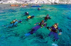 Camping - Campo nell'Elba - Toscane - Ville Degli Ulivi