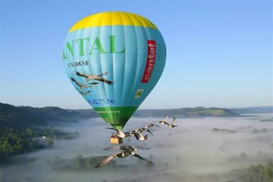 Camping - Saint-Simon - Auvergne - Voler avec Les Oiseaux