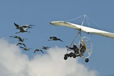 Camping - Saint-Simon - Auvergne - Voler avec Les Oiseaux