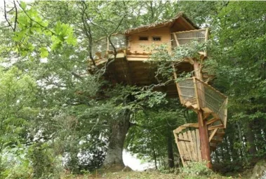 Camping - Saint-Simon - Auvergne - Voler avec Les Oiseaux