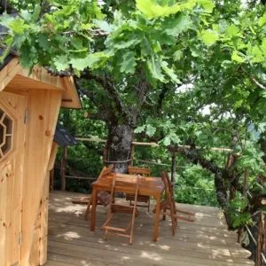 Camping - Saint-Simon - Auvergne - Voler avec Les Oiseaux