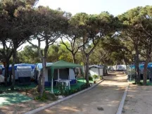 Camping - Blanes - Costa Brava - Voramar