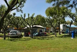 Camping - Lido di Jesolo - Vénétie - Waikiki