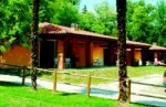 Camping - Manerba del Garda - Lombardie - Zocco