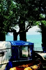 Camping - Manerba del Garda - Lombardie - Zocco