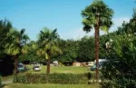 Camping - Manerba del Garda - Lombardie - Zocco