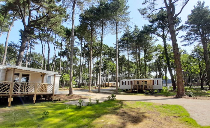 Camping - Piriac-sur-Mer - Pays de Loire - Bois de Bayadène - Image #6
