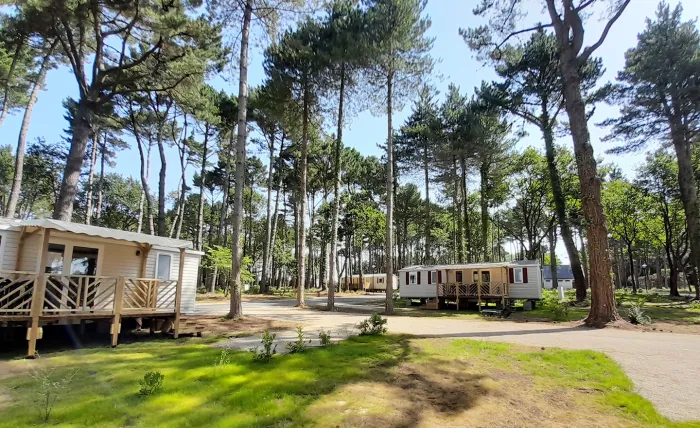 Camping - Piriac-sur-Mer - Pays de Loire - Bois de Bayadène