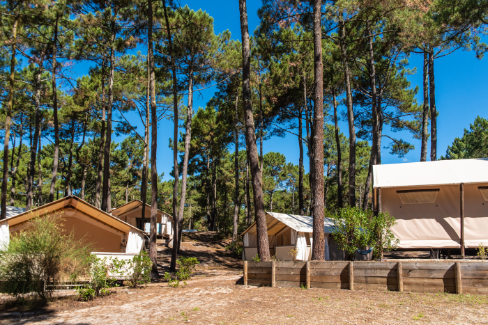 Camping - Biscarrosse-Plage - Aquitaine - Campéole Le Vivier - Image #7