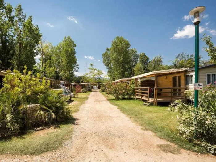 Camping - Argelès-sur-Mer - Languedoc-Roussillon - Al Sol