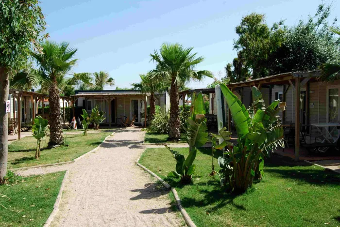 Camping - L'Ampolla - Costa Dorada - Taiga Delta de l'Ebre