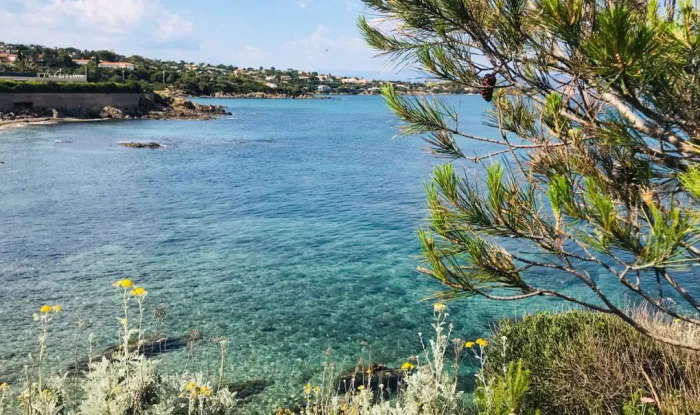 Camping - Roquebrune-sur Argens - Provence-Alpes-Côte d'Azur - Au Paradis des Campeurs