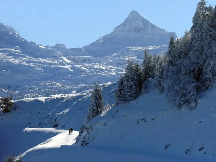 Camping - Aramits - Aquitaine - Barétous Pyrénées