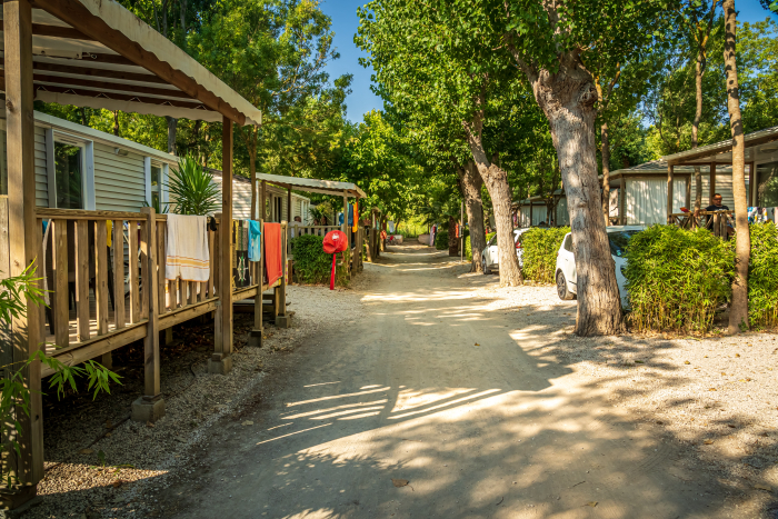 Camping - Argelès-sur-Mer - Languedoc-Roussillon - Beauséjour - Image #19
