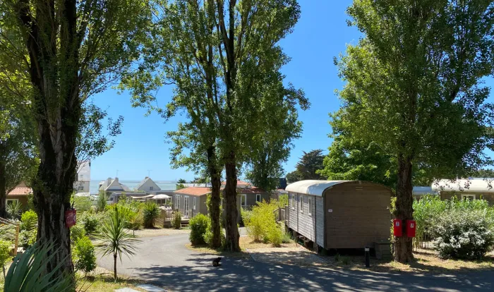 Camping - Pornichet - Pays de Loire - Bel Air