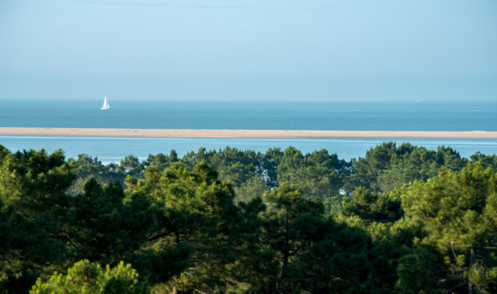 Camping - Les Mathes-La Palmyre - Poitou-Charentes - Bonne Anse Plage - Image #18