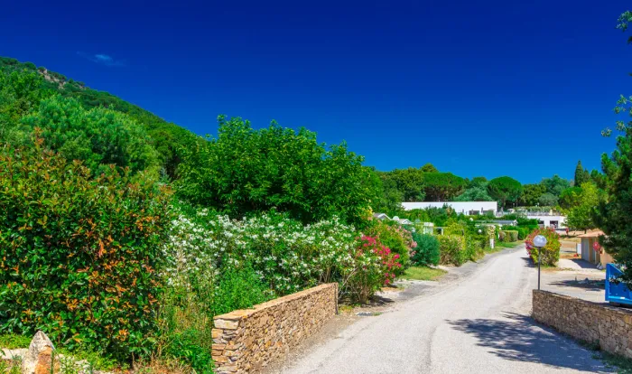Camping - La Garde-Freinet - Provence-Alpes-Côte d'Azur - Domaine de Miremer