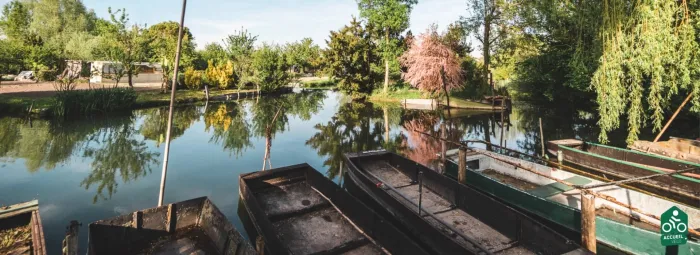 Camping Bourges - 1 - camping