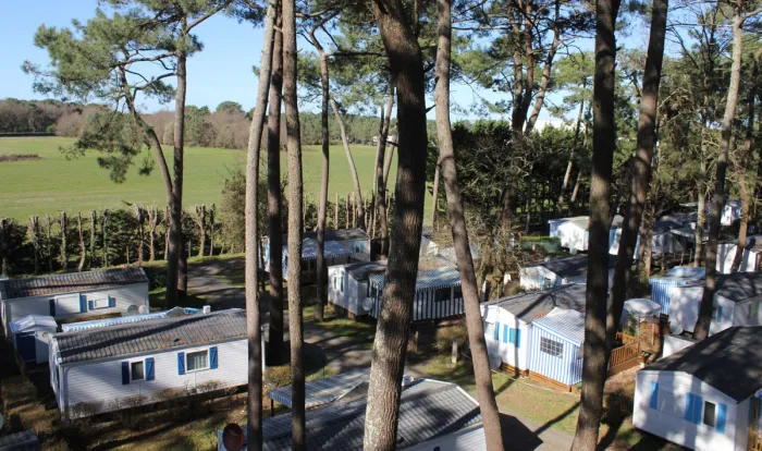 Camping - Saint-Hilaire-de-Riez - Pays de Loire - Camping de l'Orée des Pins