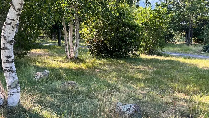Camping - Corsavy - Languedoc-Roussillon - Camping de la Lyre