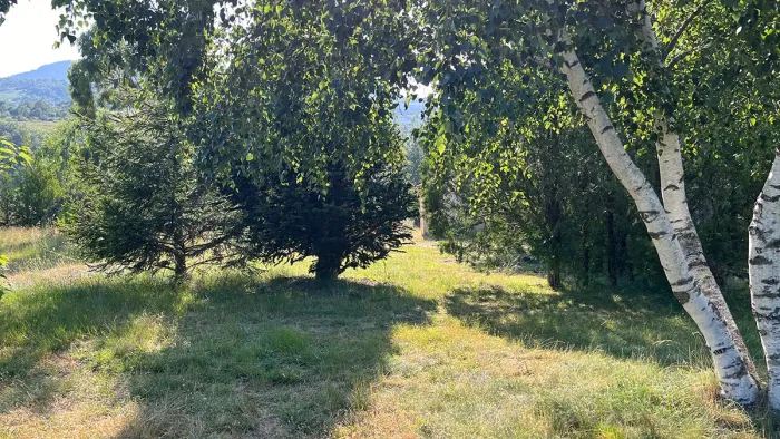 Camping - Corsavy - Languedoc-Roussillon - Camping de la Lyre