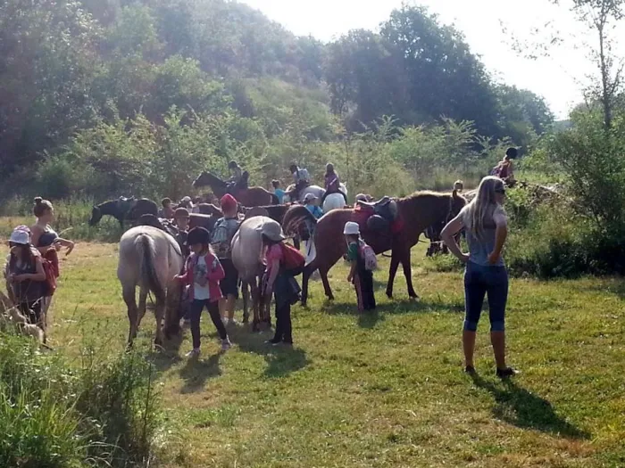Camping - Saint-Pantaléon - Midi-Pyrénées - Camping des Arcades