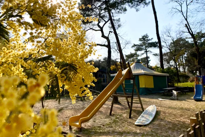 Camping - Soulac-sur-Mer - Aquitaine - Camping des Pins