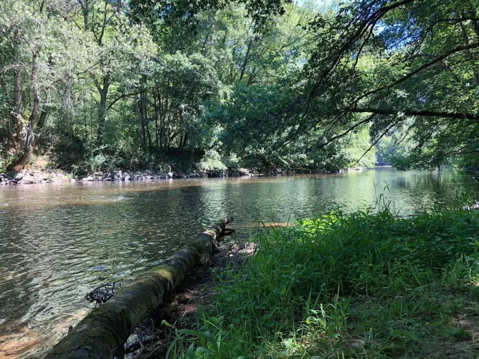 Camping Du Pont De Saint Gal