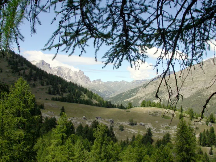 Camping - Vallouise - Provence-Alpes-Côte d'Azur - Camping GCU de Vallouise