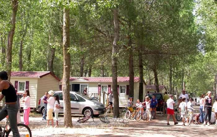 Camping - La Grande Motte - Languedoc-Roussillon - Camping GCU La Grande Motte
