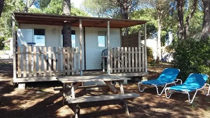 Camping - Ramatuelle - Provence-Alpes-Côte d'Azur - Camping Pinet Domaine Cézanne