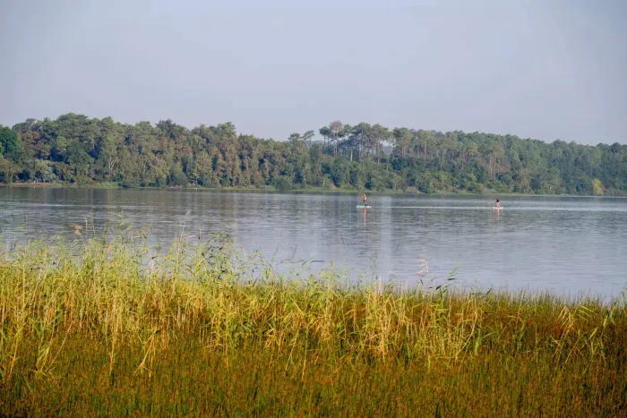 Camping - Aureilhan - Aquitaine - Camping Rivages des Landes