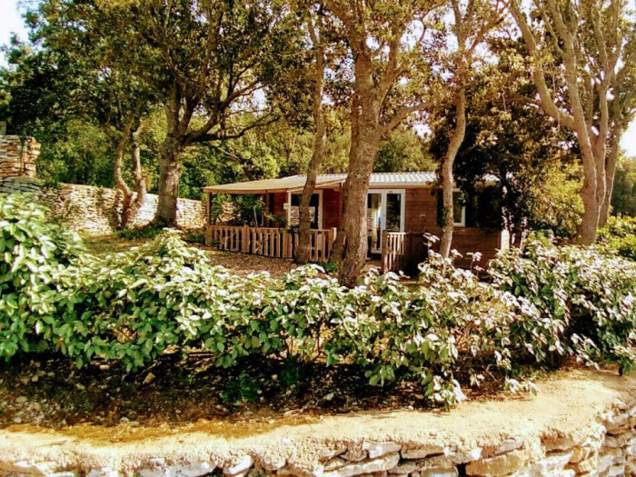 Camping - Bonifacio - Corse - Campo di Liccia - Image #4