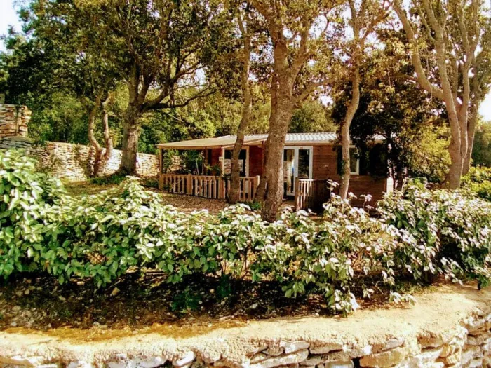 Camping - Bonifacio - Corse - Campo di Liccia