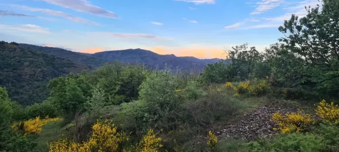 Camping - Saumane - Languedoc-Roussillon - Chateau De L'hom