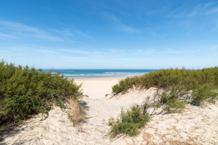 Camping - Mimizan - Aquitaine - Club Marina Landes