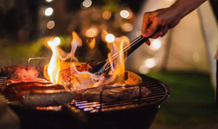Camping - Han-Sur-Lesse - Namur - Cocoon Village