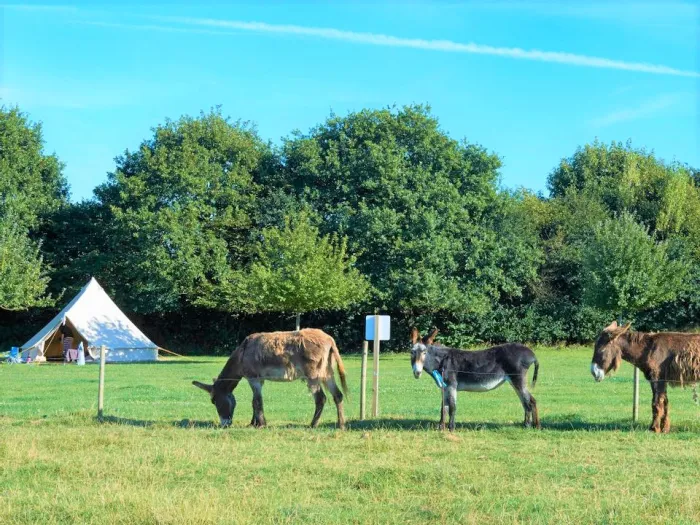 Camping - Douarnenez - Bretagne - Croas Men