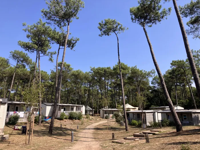 Camping - Capbreton - Aquitaine - Domaine de Fierbois