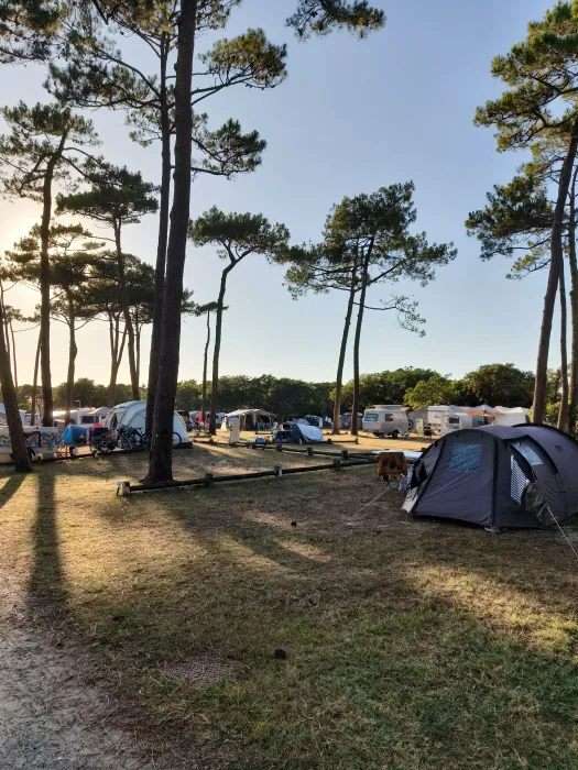 Camping - Capbreton - Aquitaine - Domaine de Fierbois