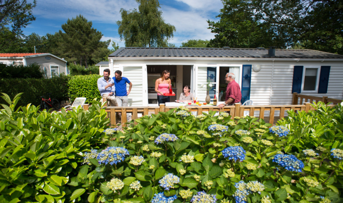 Camping - Pont-Aven - Bretagne - Domaine de Kerlann - Image #23