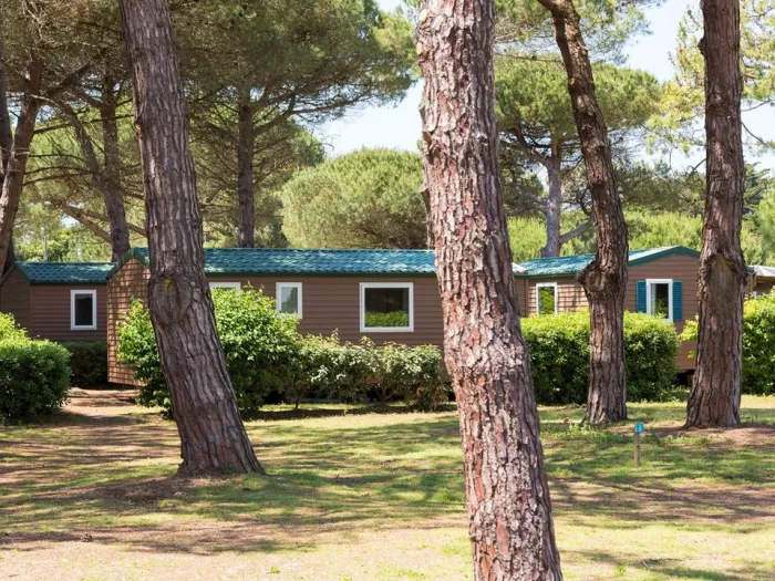 Camping - Le Bois-Plage-en-Ré - Poitou-Charentes - Tamarins Plage