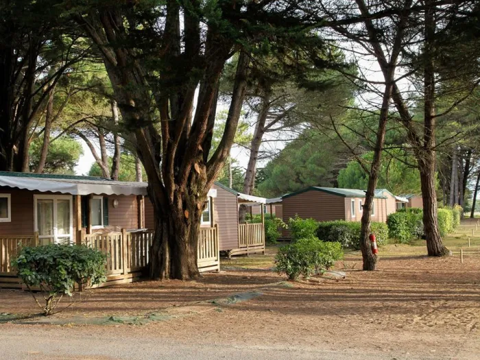 Camping - Le Bois-Plage-en-Ré - Poitou-Charentes - Tamarins Plage