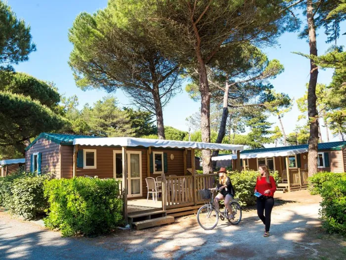 Camping - Le Bois-Plage-en-Ré - Poitou-Charentes - Tamarins Plage