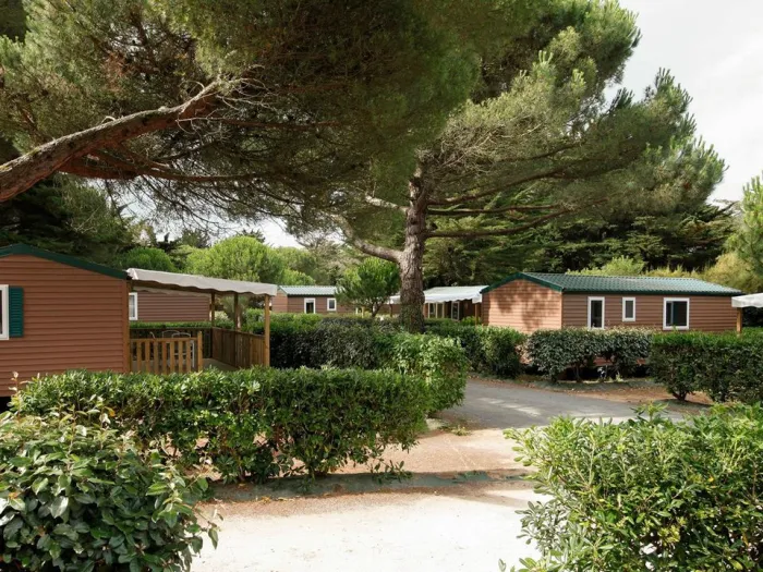 Camping - Le Bois-Plage-en-Ré - Poitou-Charentes - Tamarins Plage
