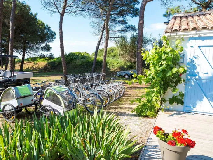 Camping - Le Bois-Plage-en-Ré - Poitou-Charentes - Tamarins Plage